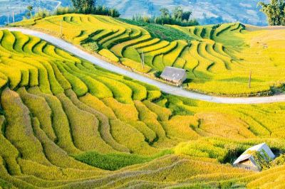 Cẩm nang du lịch Y Tý - Lào Cai