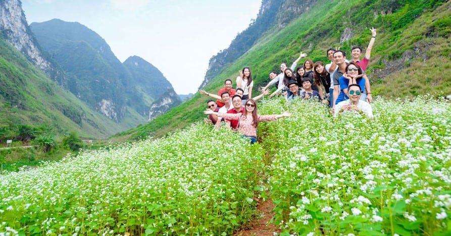 Du Lịch Hà Giang - Kinh Nghiệm Khi Đi Check - In Hà Giang