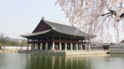 Du lịch Hàn Quốc check in địa điểm hot nhất