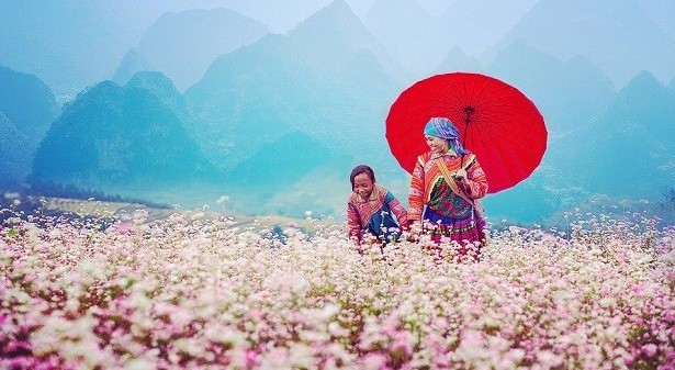 Những Địa Điểm Du Lịch Miền Bắc Hấp Dẫn Nhất