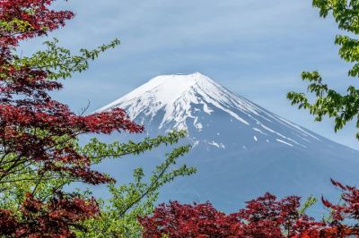 Du lịch Tokyo mùa nào đẹp? Top điểm Check-in hot nhất 