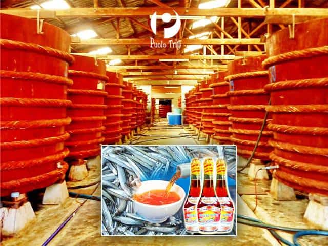 Nước Mắm Cá Cơm Phú Quốc - Những Điều Chưa Biết