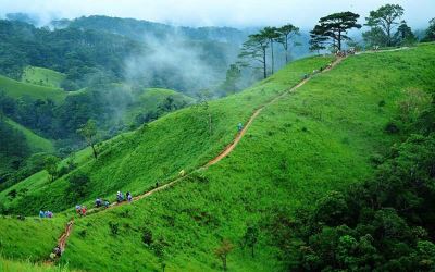 Tour trekking Tà Năng có gì hấp dẫn? 