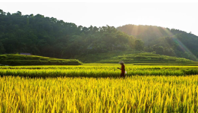Trekking Pù Luông - Khám Phá Thiên Nhiên Hoang Sơ Giữa Núi Rừng