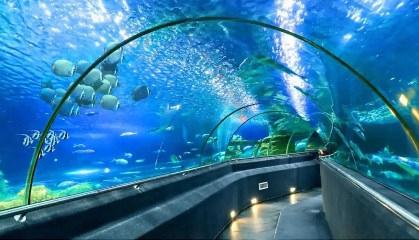 Viện Hải Dương Học Nha Trang Có Gì Để Khám Phá