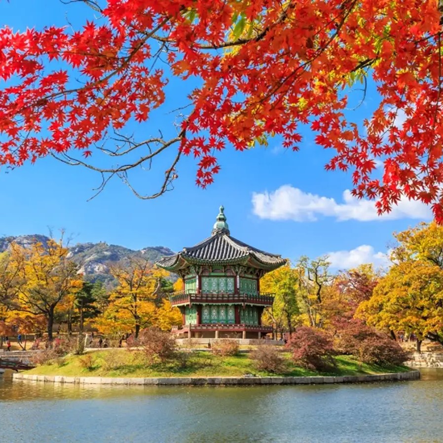 Tour Bắc Giang - Hàn Quốc 5N4Đ | Seoul - Đảo Nami - Everland