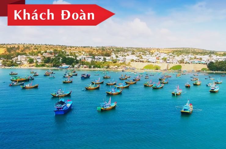 Tour Phan Thiết Mũi Né 3N2Đ Chất Lượng Cao | Team Building & Gala Dinner