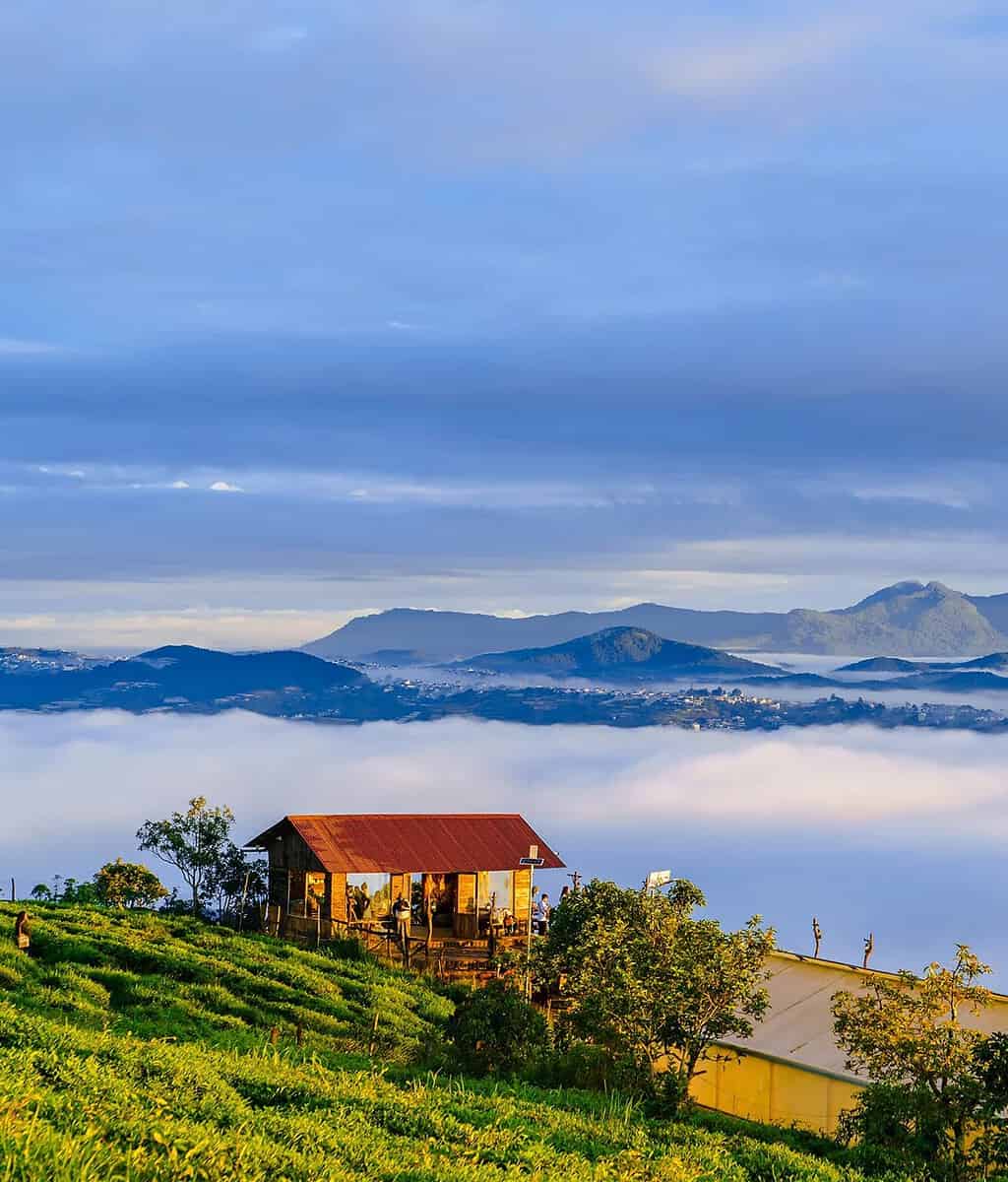 Tour Hải Phòng - Đà Lạt Bằng Máy Bay 3N2Đ