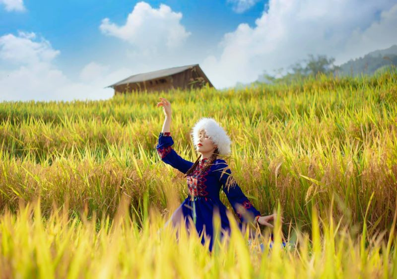 Tour Tây Bắc 4N3Đ | Sapa - Lai Châu - Điện Biên - Mộc Châu - Mai Châu