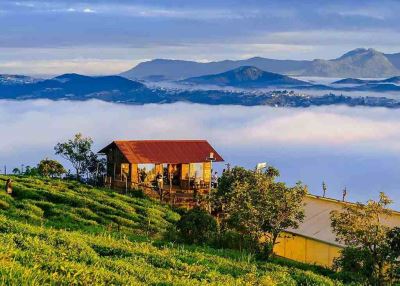 Tour Cần Thơ - Đà Lạt Bằng Máy Bay 3N2Đ Kích Cầu 2026