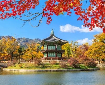 Tour Hà Nội - Hàn Quốc 5N4Đ | Seoul - Đảo Nami - Everland