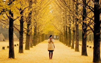 Tour Hàn Quốc 5N5Đ | Seoul - Nami - Trượt Tuyết