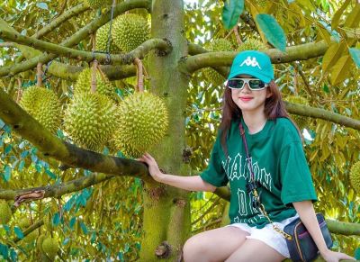 Tour VIP 8 tỉnh Miền Tây 4N3Đ Hấp Dẫn Trọn Gói