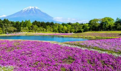 Tour Nhật Bản 5N4Đ | Yamanashi - Fuji - Hakone - Tokyo