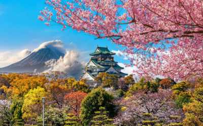 Tour Nhật Bản 5N4Đ | Yamanashi - Fuji - Hakone - Tokyo