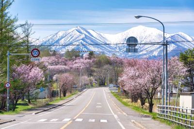 Tour Nhật Bản - Hokkaido 5N4Đ Trọn Gói Từ TP.HCM