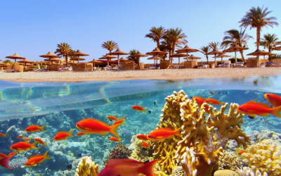 Tour Ai Cập 10N9Đ: Cairo – Aswan – Kom Ombo – Edfu – Luxor – Biển Đỏ – Con Đường Của Các Pharaoh