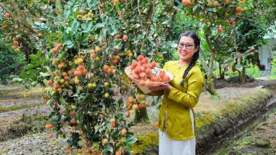 Tour City Sài Gòn - Mỹ Tho - Cần Thơ - Cồn Sơn - Tây Ninh 4N3Đ