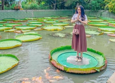 Tour Miền Tây 3N2Đ | Đồng Tháp - Châu Đốc - Cần Thơ