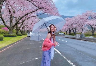 Tour Nhật Bản Cao Cấp 5N4Đ - Luxtrip