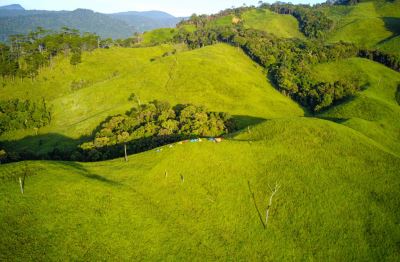 Hành Trình Raglai - Giấc Mơ Chapi | Trekking Vườn Quốc Gia Phước Bình 2N2Đ