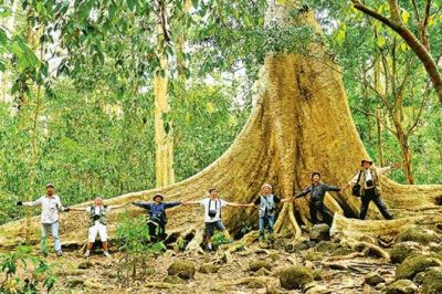 Tour Sài Gòn – Nam Cát Tiên 3N2Đ: Hành trình sinh thái “Chạm rừng xanh” giữa thiên nhiên hoang sơ