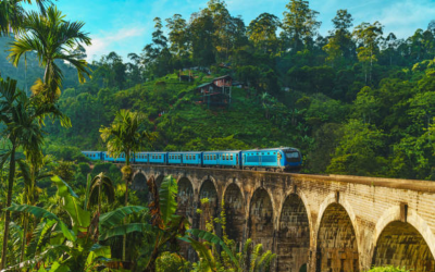 Tour Sri Lanka 9N8Đ: Colombo – Anuradhapura – Polonnaruwa – Lion Rock – Safari Yala – Hành Trình Kim Cương