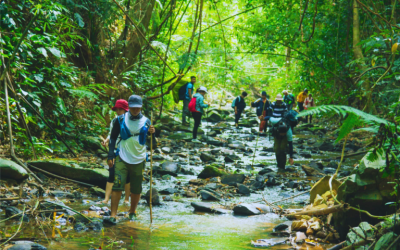 Tour Tà Đùng – Chư Bluk 2N2Đ: Hành Trình Khám Phá Kỳ Quan Nước Và Lửa Giữa Đại Ngàn
