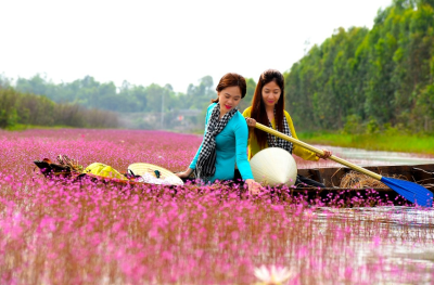 Tour Tràm Chim - KDL Mỹ Phước Thành - Đồng Tháp 2N1Đ