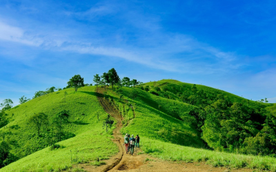 Tour Tà Năng – Phan Dũng 2N2Đ: Hành Trình Khám Phá Thiên Nhiên Nguyên Sơ & Chinh Phục Thảo Nguyên Xanh