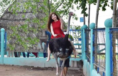 Tour Vinh Sang - Vương Quốc Gạch Long Hồ 2N1Đ