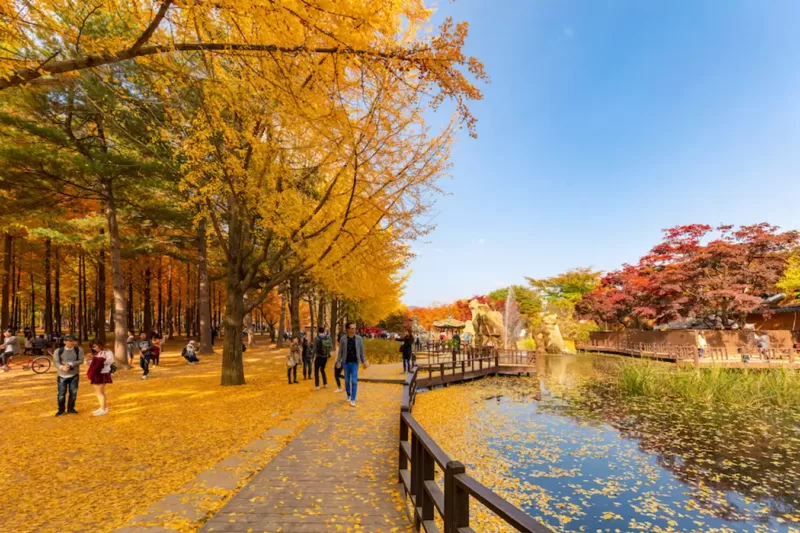 Tour Hàn Quốc 6 Ngày 5 Đêm Trọn Gói Khuyến Mãi Giá Rẻ
