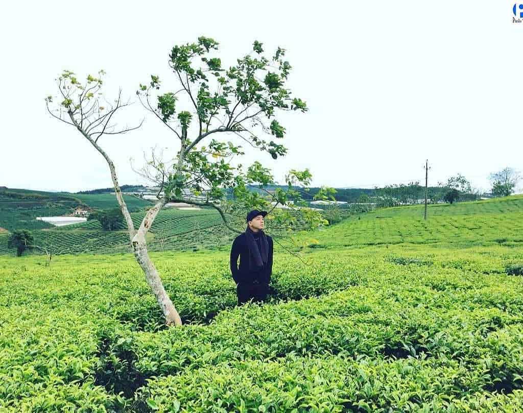 tour du lịch Đồi Chè Cầu Đất Đà Lạt