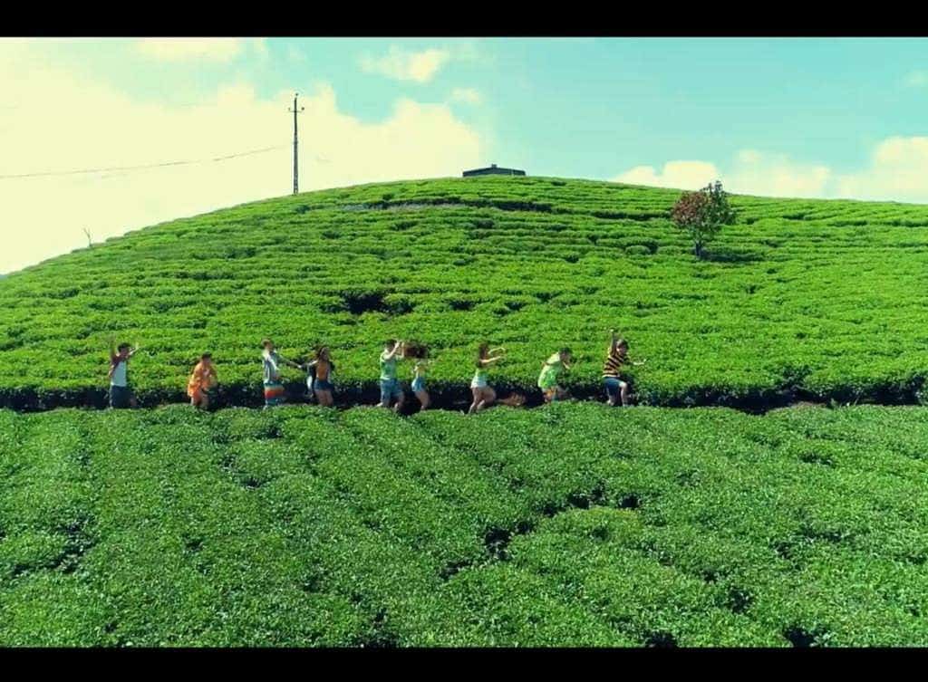 tour du lịch Đồi Chè Cầu Đất Đà Lạt