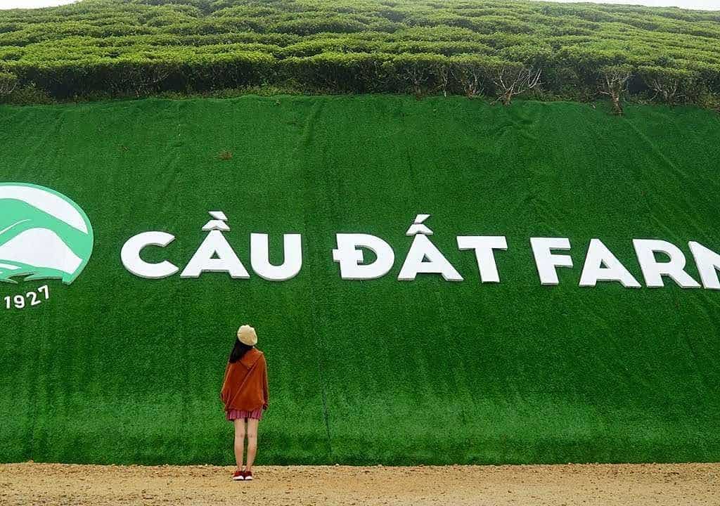tour du lịch Đồi Chè Cầu Đất Đà Lạt