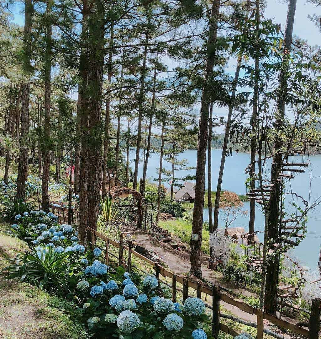 tour du lịch Phim Trường Happy Hill Đà Lạt
