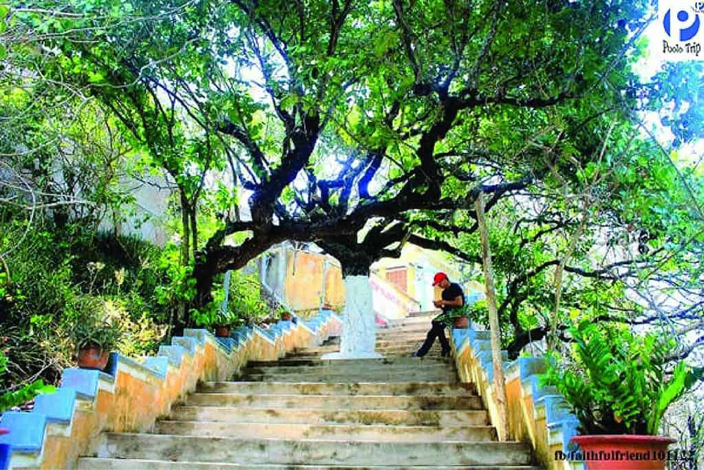 ngoạn cảnh chùa Linh Sơn - Phú Quý