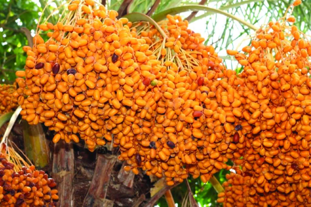 tour du lịch