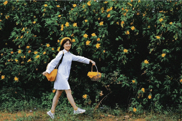 tour du lịch