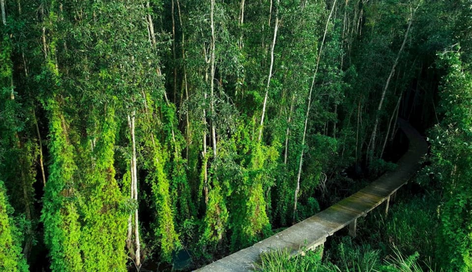 tour du lịch