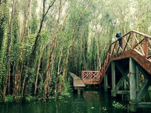 tour du lịch