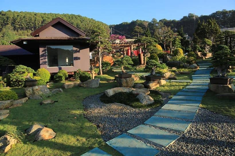 vườn bonsai lá kim
