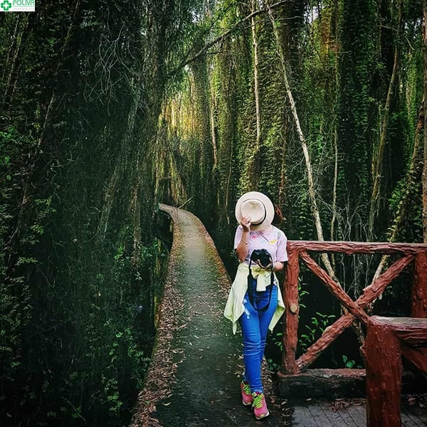 tour du lịch