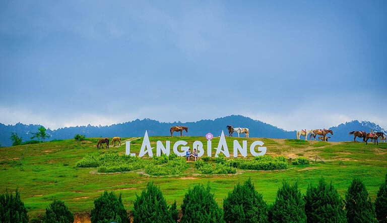 tour du lịch khu-du-lich-lang-biang-da-lat-2421533
