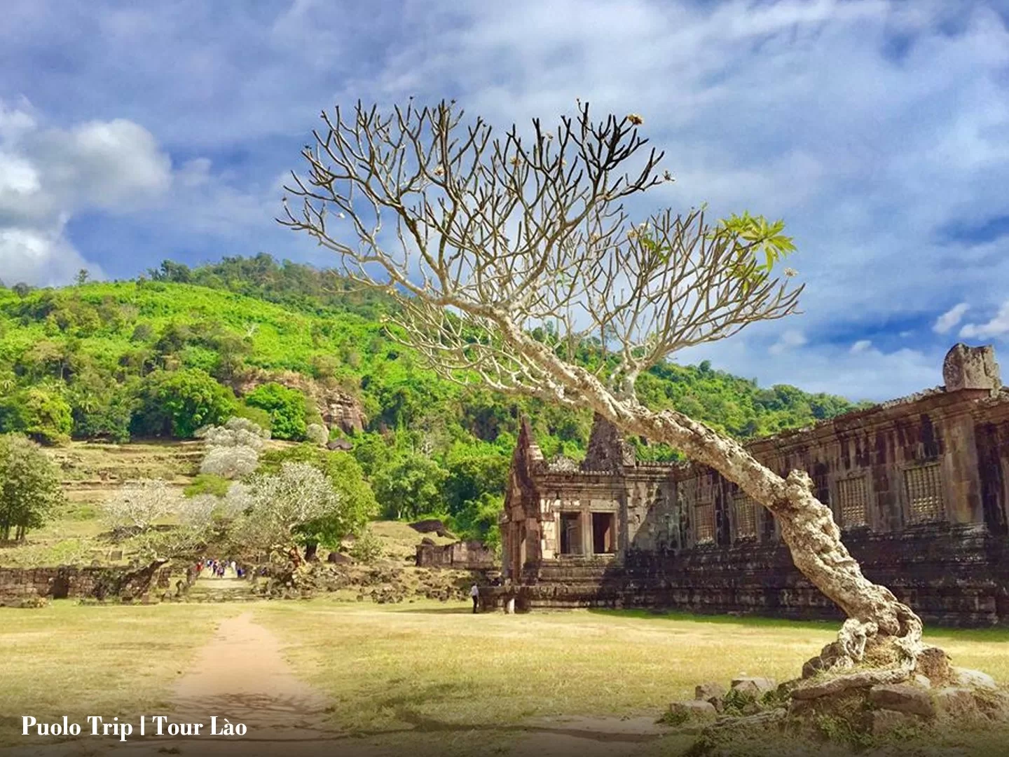 tour du lịch tour du lịch