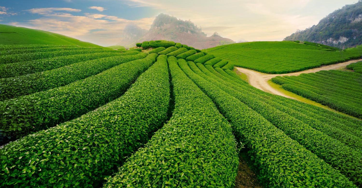 tour du lịch