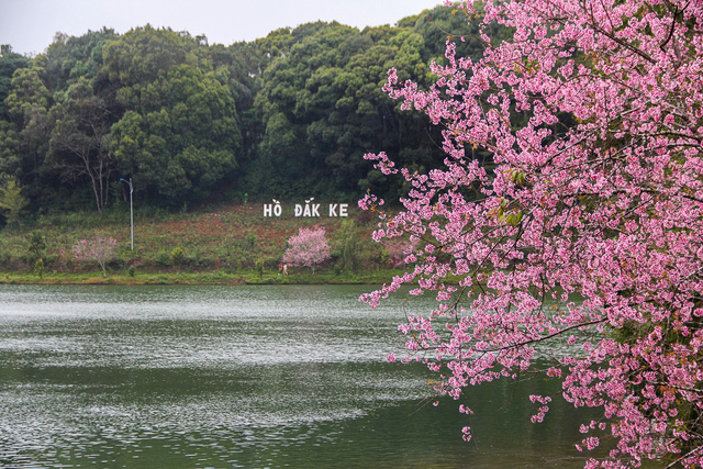 tour du lịch