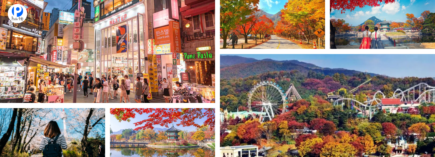 Tour Hàn Quốc 5N4Đ: Hà Nội – Seoul – Đảo Nami – Công Viên Everland – Khám Phá Xứ Sở Kim Chi Rực Rỡ