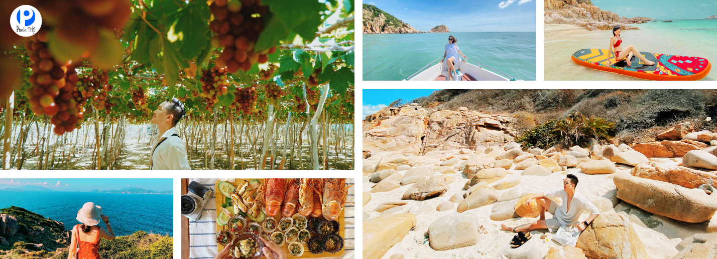 Tour Bình Hưng, Vĩnh Hy, Ninh Chữ 2N2Đ Trọn Gói 2026