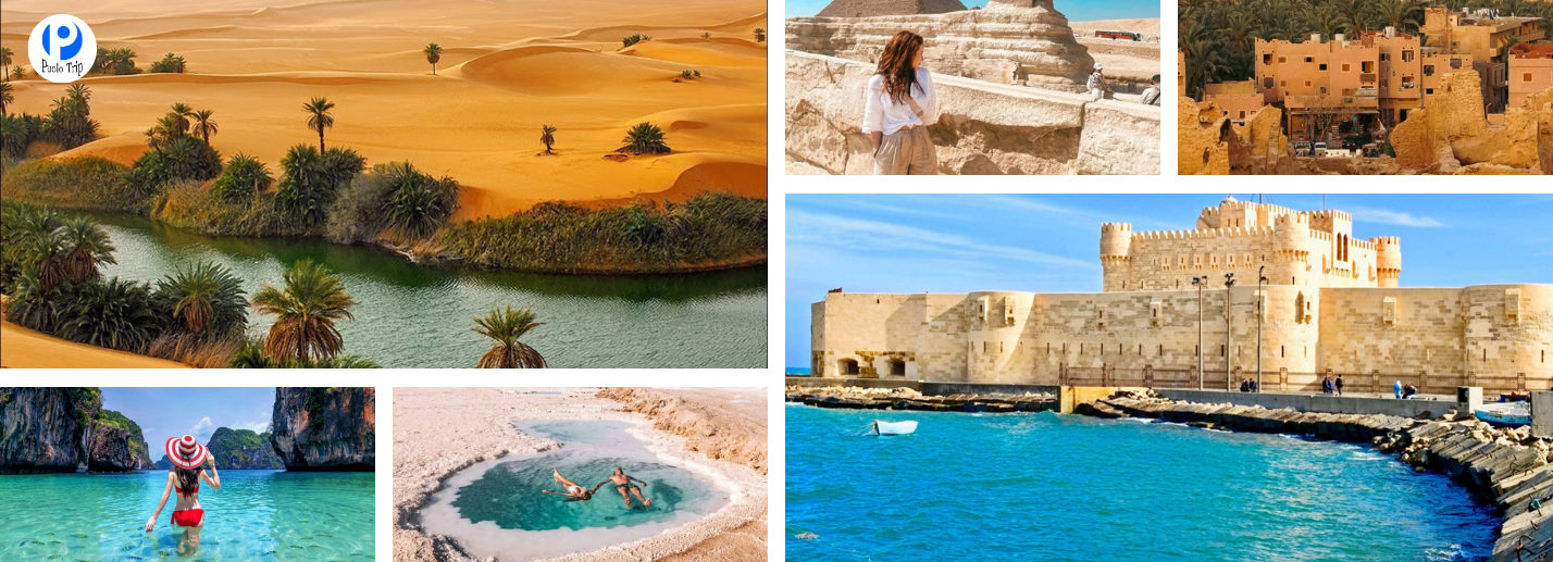 Tour Ai Cập VIP 14N13Đ: Cairo – Aswan – Luxor – Biển Đỏ – Alexandria – Ốc Đảo Siwa – Sa Mạc Sahara